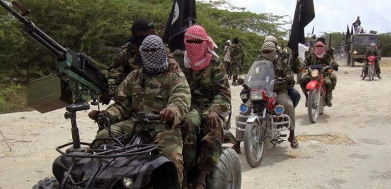 Boko Haram kills 12, abducts one in Borno